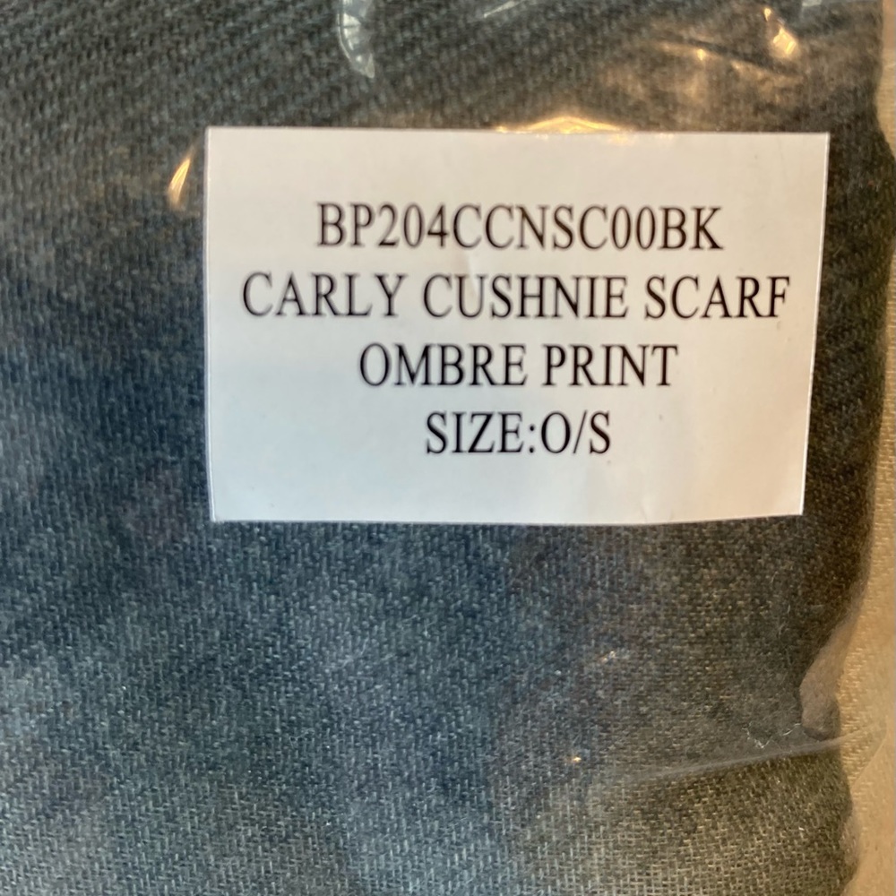 ☘️NWT! Carly Cushnie Ombré Scarf Rachel Zoe - Picture 3 of 5